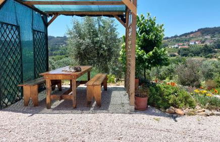 Quinta De Oliveiras - Foto 35