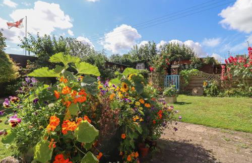 Molly's Bit - Foto 21