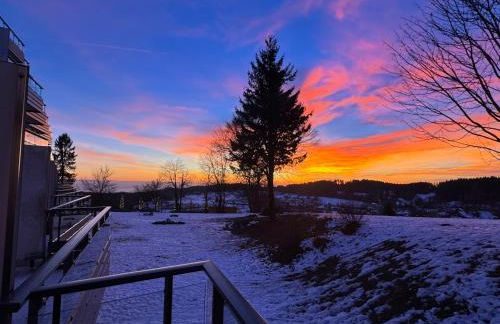 Ferienwohnung Schönblick inklusive Hallenbad, Sauna, Außenpool & Fitnessstudio, familienfreundlich ausgestattet - Foto 10