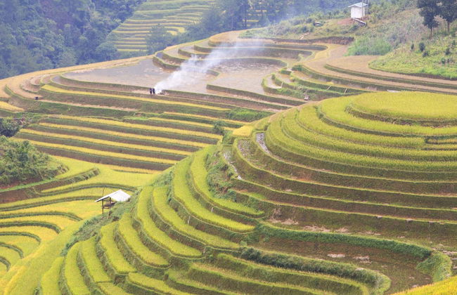 Electric Bike Tour of Bali Rice Terraces - Photo 1