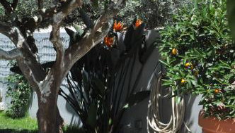 The BloomYard - Foto 1, Garden, Garden view