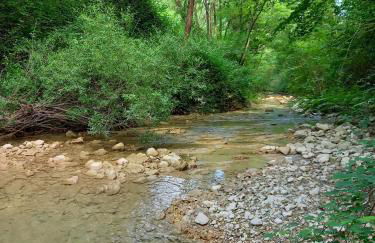 Agriturismo Il Covo del Solengo - Foto 62