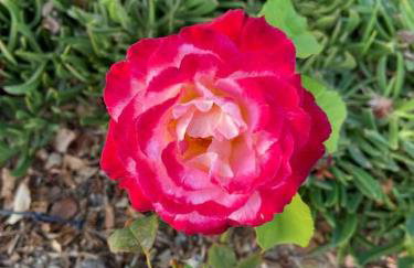 House by the beach,next to village,sunset view - Foto 11