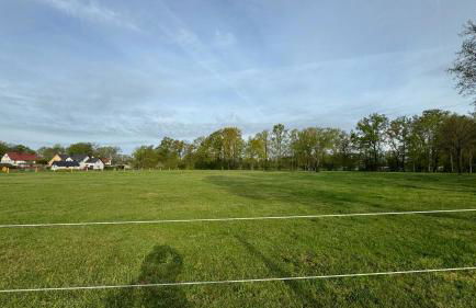 Lausitzhof - Foto 31