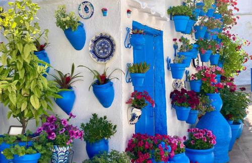 Dehesilla Olive Orchard Retreat - Foto 37