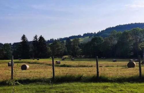 Agroturystyka Jak Makiem Zasiał Dworki 10 - Foto 29