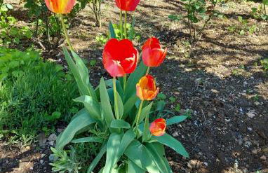 Apartments Jeličić - Foto 71