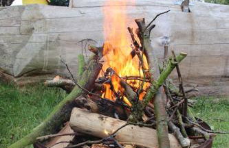 Ferienhof Folger - Foto 4