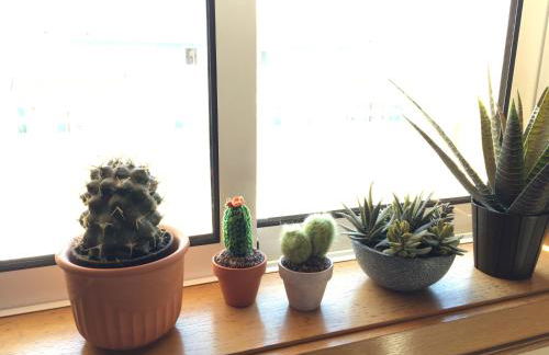 Casa da Barra - Foto 35