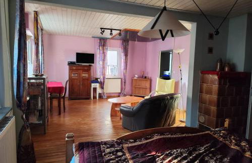 Speyer Vintage Stil Ferienwohnung Hundefreundlich - Foto 10