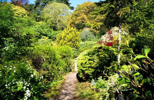 Tra Cielo e Lago - Photo 22
