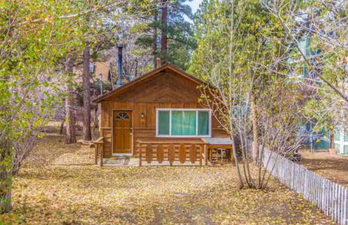 Bear Forest Hideaway, 5 Bed's, Indoor Fireplace! - Foto 1