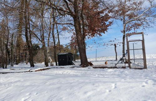 Gîte du Chalet - Le studio en pleine nature - Foto 21