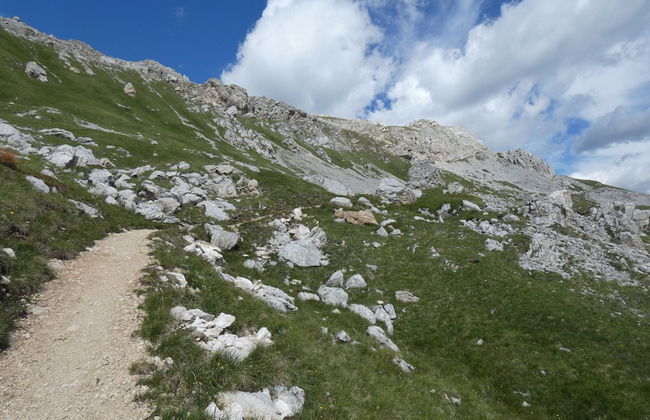 Cottage in Bellamonte With hot tub - Foto 35