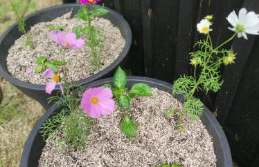 Studio Nature & Calme, Lac et Forêt à Pied - Foto 19