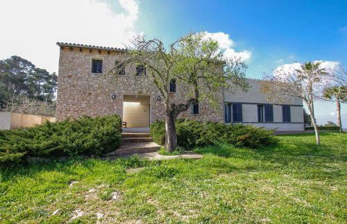 Son Paparra - Foto 27