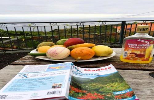 Paraiso das Flores - Foto 1