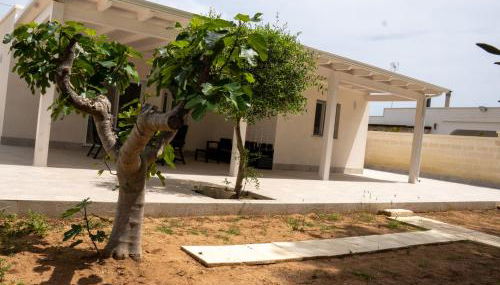 Villa Alto Mare - Foto 5, Garden