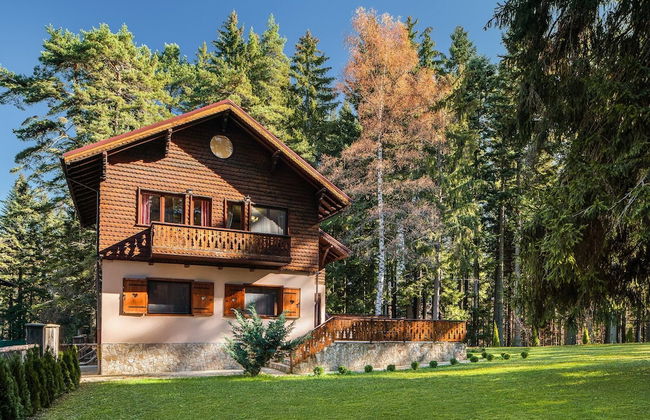 Villa Borovets Mountain & Luxury - Foto 39
