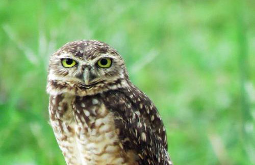 Sítio SPA Céu De Verdade , Praia de Barra Nova , Ceará - Foto 42