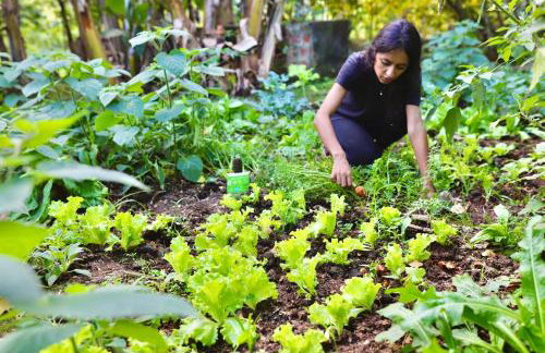 Casa Centenária com 20 min de Gramado - Foto 13
