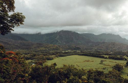 Banyan Harbor Resort - Foto 157