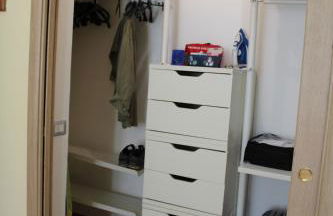 i tulipani - Foto 71