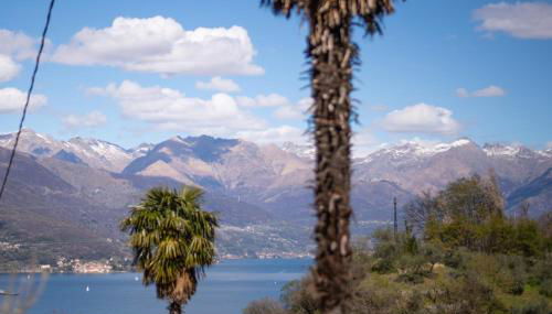 Il Vecchio Torchio - Foto 3