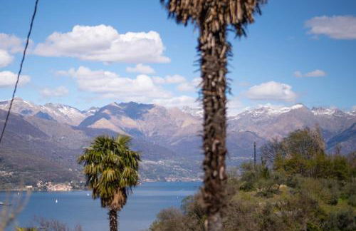 Il Vecchio Torchio - Foto 3