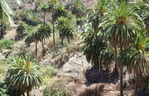 Apartamentos Bellavista Gomera - Foto 47