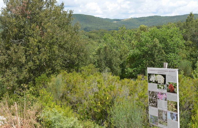 Le Moraiole Country House - Foto 41