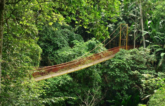 Quindío Botanical Garden Tour - Photo 3