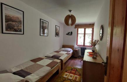 Apartament Międzygórski - Foto 20