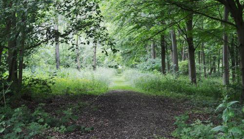 Haven Lodge - Foto 4