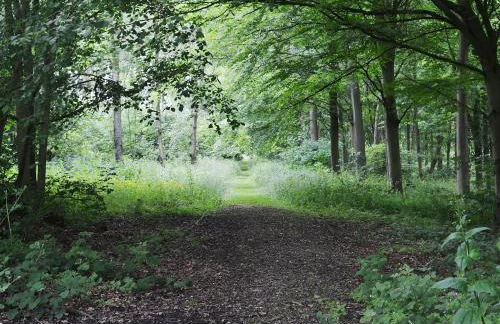 Haven Lodge - Foto 4