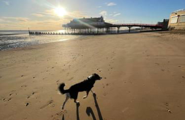 Spacious modern house near the beach - Foto 15