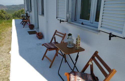 OLIVE BREEZE - Photo 30
