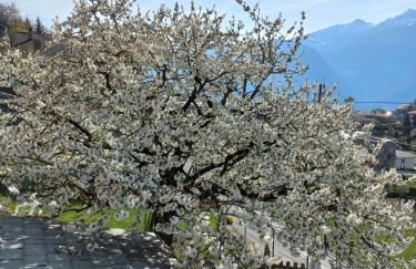 casa vacanza da ghislin - Foto 32