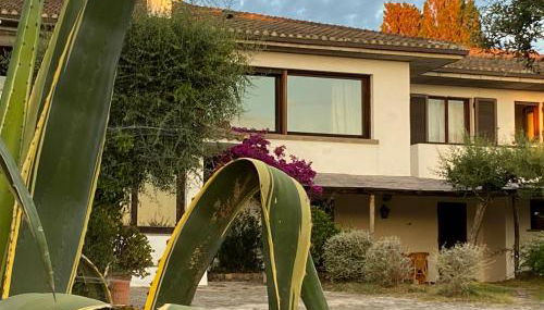 Terrazza sull Argentario - Foto 5