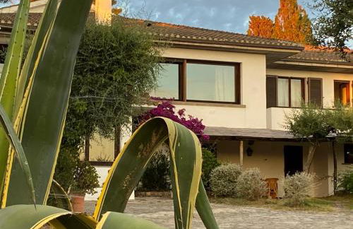 Terrazza sull Argentario - Foto 5