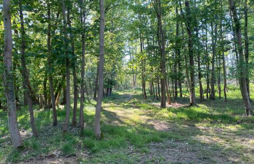 Paddock View - Snetterton Norfolk - Foto 18