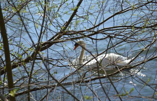 Ferienwohnungen Am Brunnen - Nähe Europapark, W-LAN, Klimaanlage - Foto 53