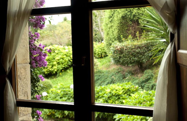 Trisqueles y Buganvillas - Photo 50