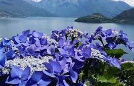 Agriturismo Piccolo paradiso - Foto 1