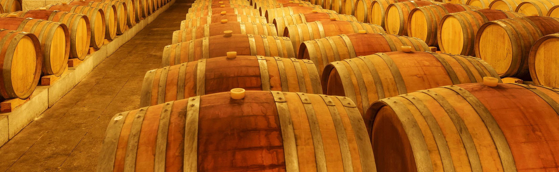 Excursion dans le domaine viticole d'Undurraga