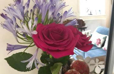 Turnpike Cottage - Foto 45