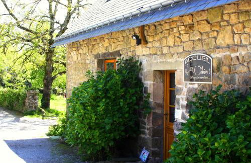 Dihan Evasion - Foto 79