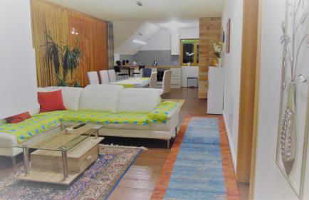 Csilla Comfortable Holiday Residence - Foto 39