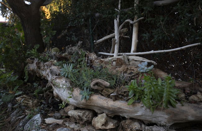 Ville Pini e Aurelia - Foto 49