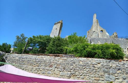 hô choucas - Foto 7